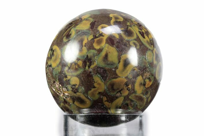 Polished Fruit Jasper Sphere - India #359710